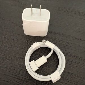 Apple lightning to USB charger (cord & adapter)